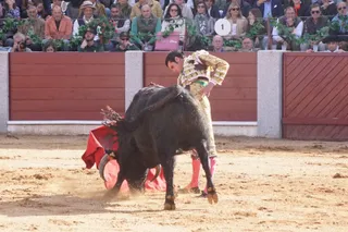 Morante, De Justo y Diosleguarde suman ocho orejas en Guijuelo (1)