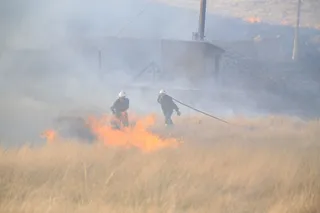 Incendio de rastrojos en Tejares