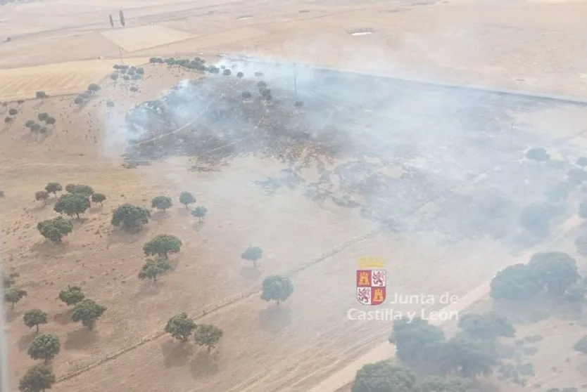 Incendio que afecta a una parcela próxima a Villalba de los Llanos