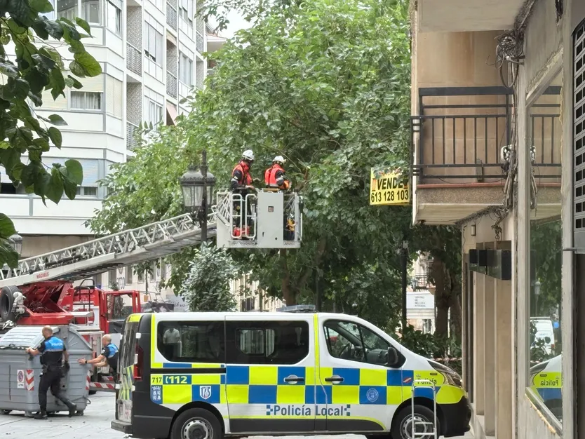 Policía Local y efectivos del Ayuntamiento de Salamanca trabajando en la caída de la rama del árbol