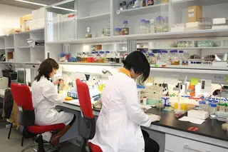 Fomento y Medio Ambiente y el Museo de la Ciencia celebran la X Noche de los Investigadores
