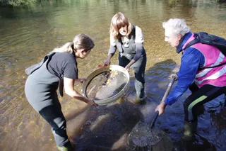 Jornada de voluntariado