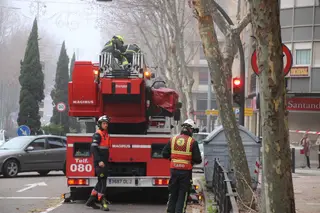 GALERÍA | Los bomberos acuden a retirar varias ramas de un árbol en el paseo de Carmelitas