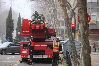 GALERÍA | Los bomberos acuden a retirar varias ramas de un árbol en el paseo de Carmelitas