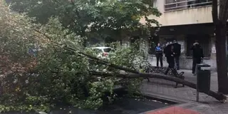 Alerta por vientos de hasta 80 kilómetros por hora en Salamanca