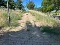 El parque Juan Tenorio entre la maleza seca 