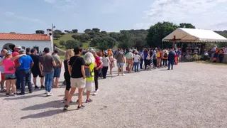 Romería Cristo de Cabrera
