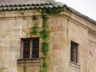 Convento de las Claras | Ciudadanos por la Defensa del Patrimonio