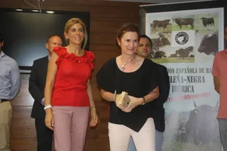 Concurso de raza avileña-negra ibérica en Salamaq