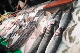 Recursos de pescadería, pescaderos, pescados, mariscos. Foto de archivo | EUROPA PRESS
