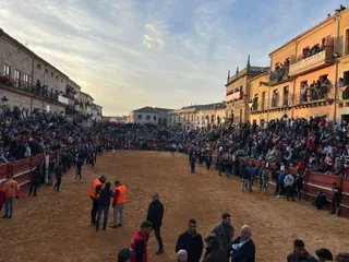 Tablaos de la Plaza de Toros de Ciudad Rodrigo durante el festejo de este martes