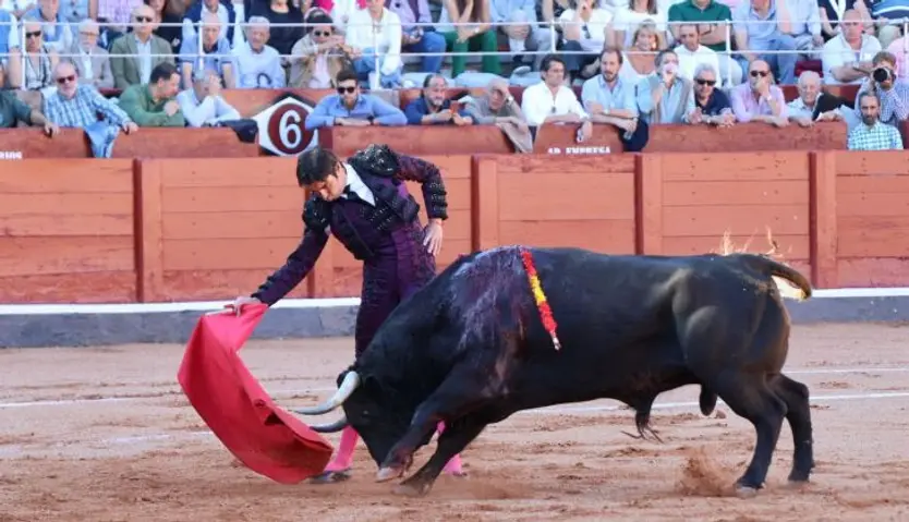 Corrida de El Vellosino: momentos más destacados del tercer festejo de abono de la Feria Taurina Virgen de la Vega 2024. Fotos Andrea M.