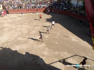 Encierro de Villarino de los Aires (24)