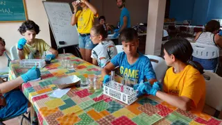 Talleres de iniciación a la investigación