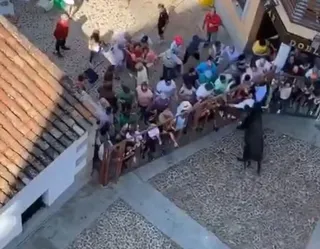 Sin título