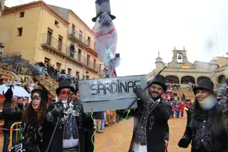 Desfile disfraz callejero Sábado Carnaval Ciudad Rodrigo 2025 (58)