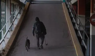 Una persona sin hogar con un perro | David Zorrakino - Europa Press