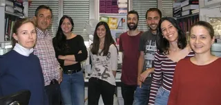 La nanomedicina puede destruir las células de leucemia resistentes a otras terapias