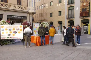 Mesa informativa de Salud Mental Salamanca en la plaza del Liceo