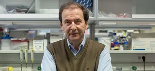 Alberto Orfao, catedrático Medicina de la USAL, formará parte del comité de neoplasias mieloides de la OMS
