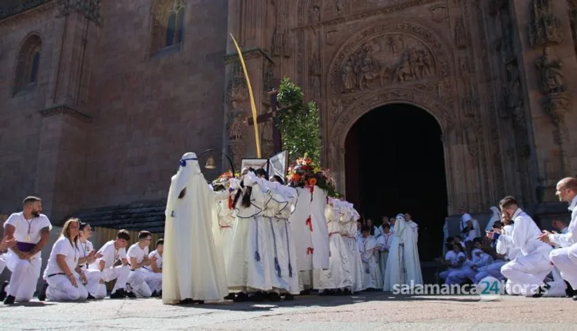 Procesión de la Borriquilla de la Hermandad de Jesús Amigo de los Niños
