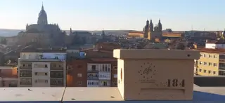 LIFE caja nido