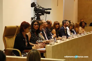 Constitucion Ayuntamiento Salamanca (91)