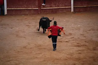 Toro del Aguardiente Ciudad Rodrigo 2025