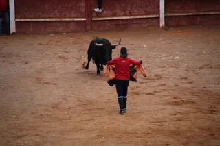 Toro del Aguardiente Ciudad Rodrigo 2025