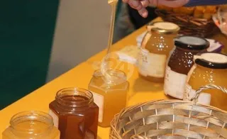 La Junta convoca ayudas para la mejora de la producción y comercialización de miel