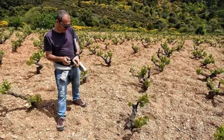 Salamanca disfruta este sábado del ‘Geolodía’