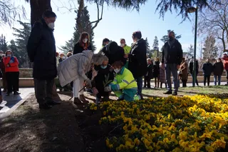 Los enfermos de Parkinson ejecutan la tradicional plantación simbólica de tulipanes para ayudar a la cura