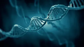 Estudio del DNA y las proteínas. Curso Biofísica USAL