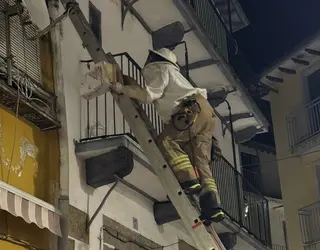 Intervención de los bomberos de Béjar para retirar un nido de avispas