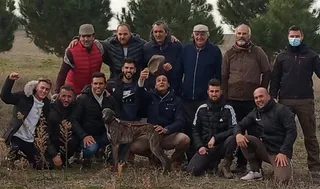 Club Lerma Mulas de galgos
