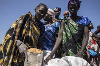 Programa mundial de alimentos