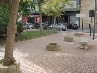 Alcorques en la plaza de los Bandos (1)