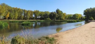 PCAS lamenta la gestión forestal del Ayuntamiento