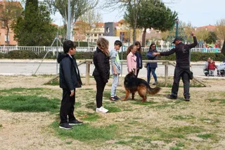 Tras sus huellas Carbajosa (4)