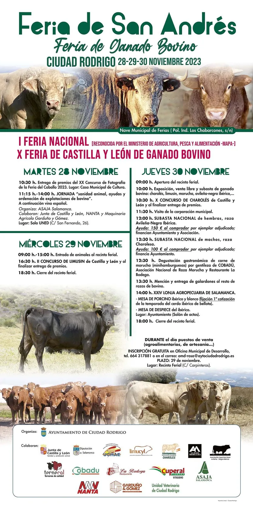 2023. CARTEL FERIA DE SAN ANDRES
