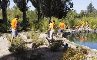 Voluntariado ambiental