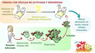 Los proyectos de investigación demuestran la eficacia de las terapias celulares