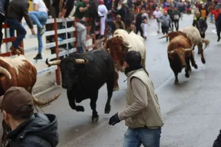 Encierro del lunes de Carnaval en Ciudad Rodrigo, toros de Fermín Bohórquez | Mateo G.J.