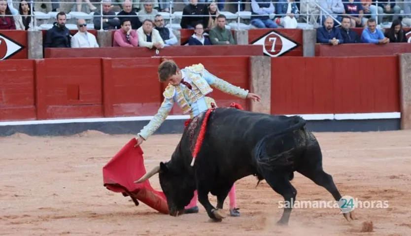 Novillada de Antonio de Palla: momentos más destacados del primer festejo de abono de la Feria Taurina Virgen de la Vega 2014. Fotos Andrea M.