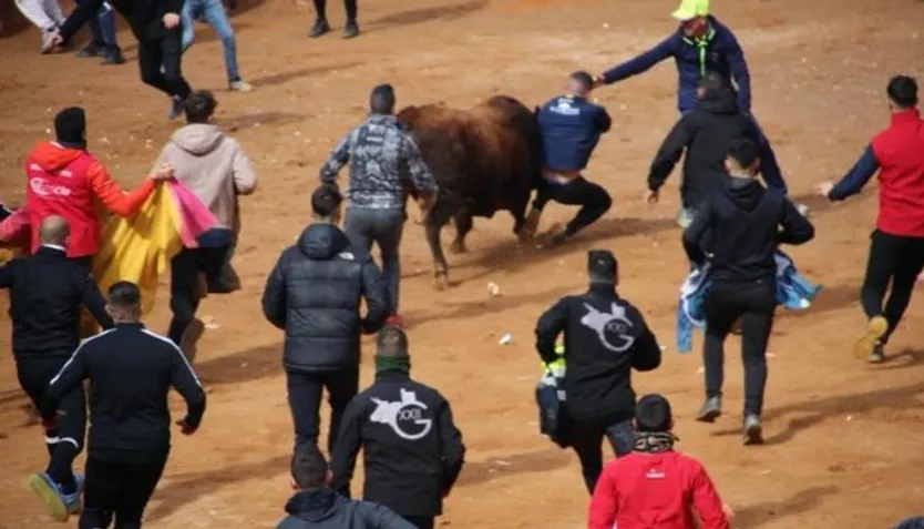 El recortador César Fernández, corneado en la capea del martes del Carnaval en Ciudad Rodrigo | Salamanca24horas