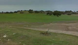 Encinas de Arriba alquila cuatro prados de titularidad municipal. Foto de archivo