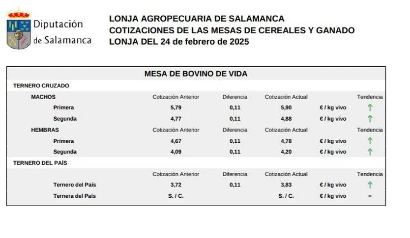 Mesa bovino de vida lonja 24 febrero 2025