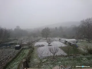 nieve la alberca