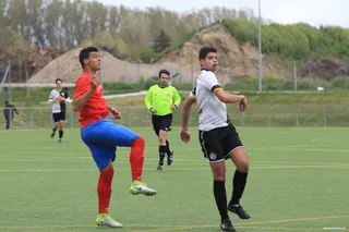 JOTA1153