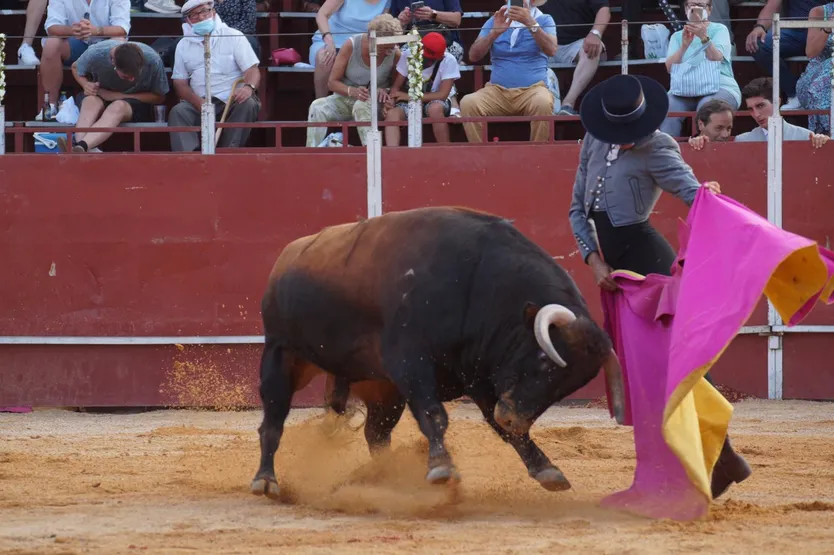 Pérez Pinto 5
